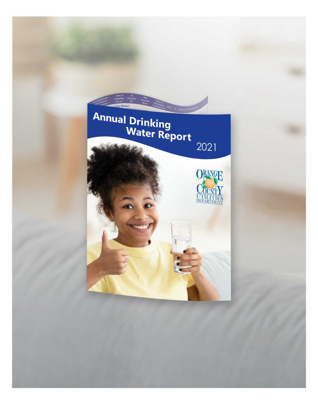 Orange County Utilities annual drinking water report document design mockup by Felipe Cardona